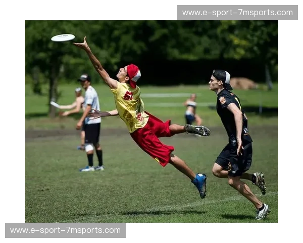 飞盘资讯：跃动的青春与风口上的飞盘热潮