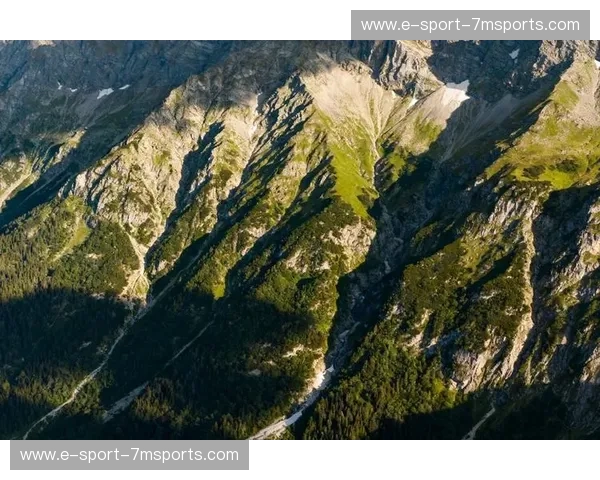 星条旗vs迦太基雄鹰：一场跨越文明边界的灵魂对撞